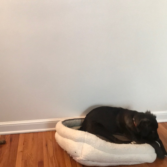 Meet your Posher, Erik - Picture 1 of 1